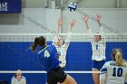 VB vs Salve  Wheaton Women’s Volleyball vs Salve Regina University. : volleyball